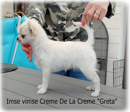 Imse vimse Creme De La Creme "Greta"